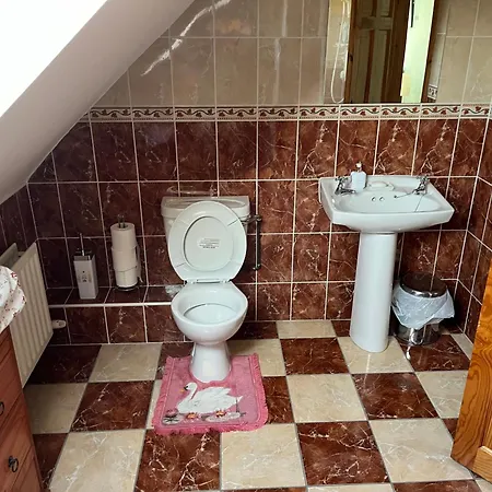 Bed & Breakfast Roskeen House Tierna